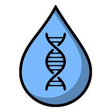 Logo Projekt Embedded Pilot